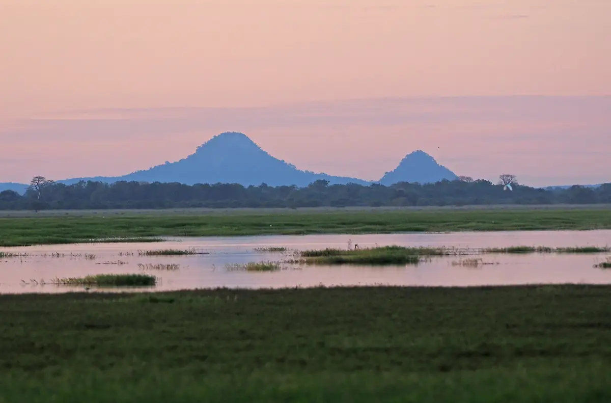 Monte Gorongosa visto da planície do parque ao entardecer