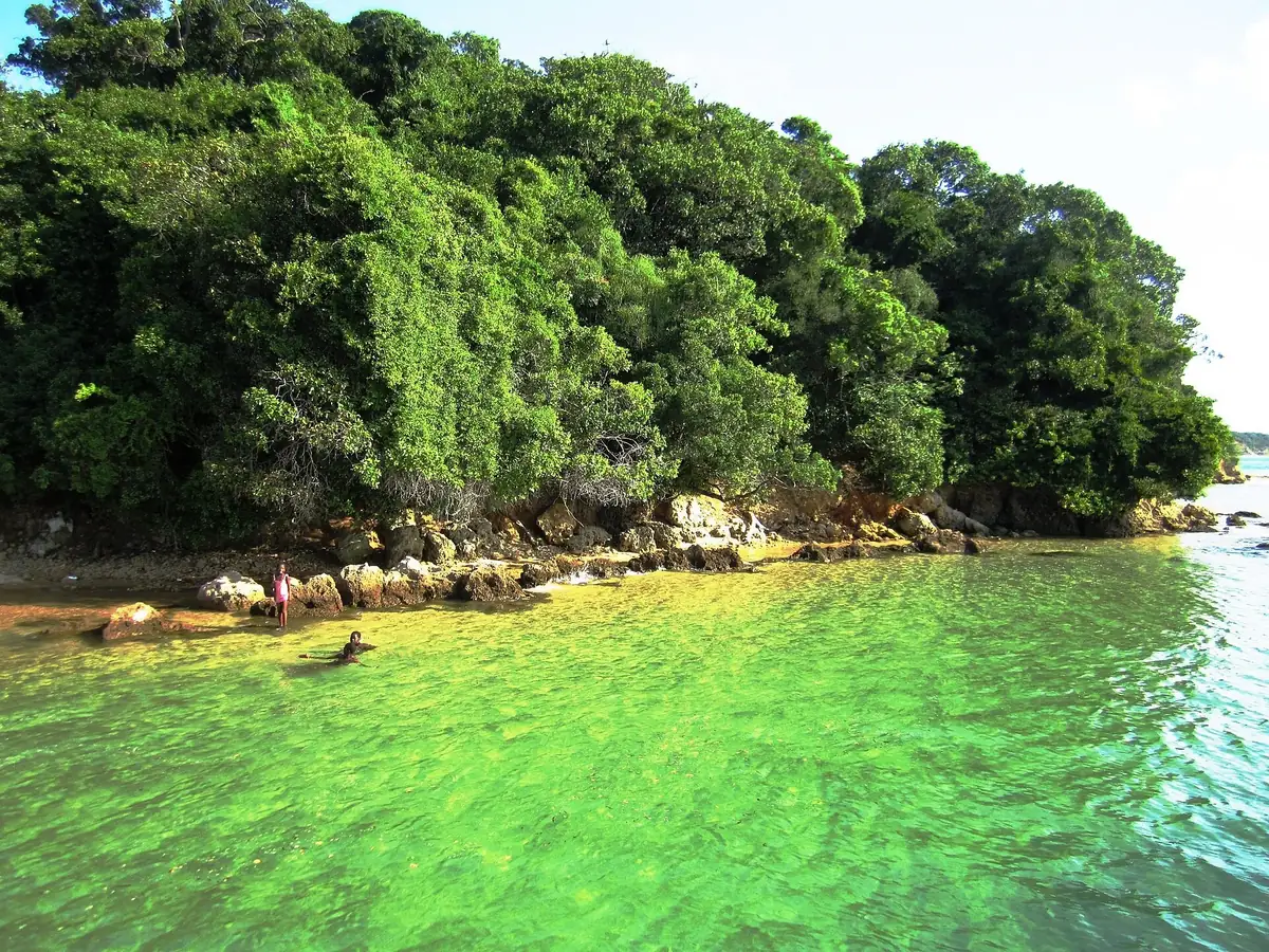 Água verde-esmeralda junto à costa arborizada da Ilha da Inhaca