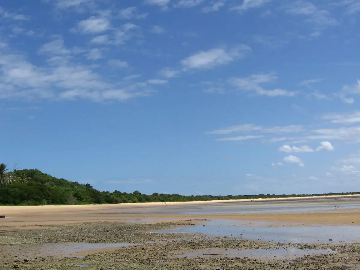 Praia e mangais da Inhaca na maré baixa